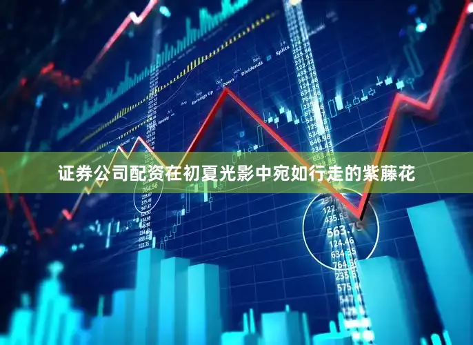 证券公司配资在初夏光影中宛如行走的紫藤花