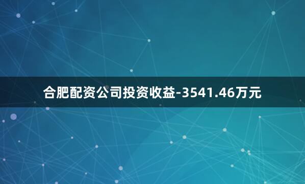 合肥配资公司投资收益-3541.46万元