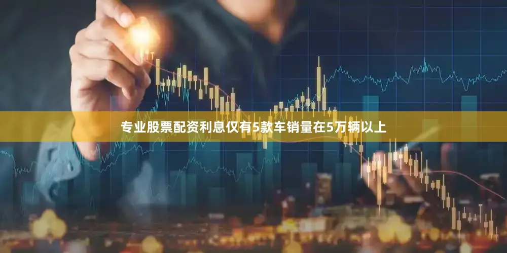 专业股票配资利息仅有5款车销量在5万辆以上